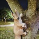 탄금호피크닉공원 2 이미지