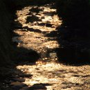 사진교실 이미지