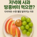 아리수유도 | 저녁에 사과 땅콩버터 먹으면? 다이어트·수면·혈당까지 달라지는 이유