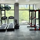 플러스 복싱 체육관 이미지