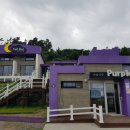 박지마을호텔, 식당 이미지