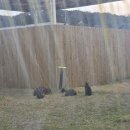 더헤이븐 리조트 펜션 이미지