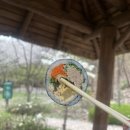 포리김밥 이미지