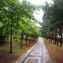 석남완충녹지공원 이미지