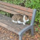 이마트24 구미금오시장점 | 수원 광교중앙역&amp;수원시청역 근처 관광명소 zip+수원화성 행리단길