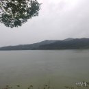 상업용 95 이미지