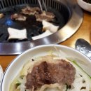 잠실고박사 이미지
