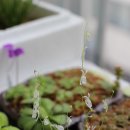 센더 이미지