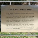 경주이씨 효부각慶州李氏 孝婦閣 티스토리