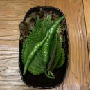 365족발 마산삼계점 이미지