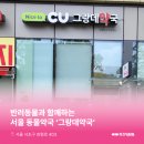 그랑데약국 네이버블로그