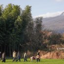 상진목장 이미지