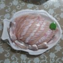 회먹는날 - 진주시 | 회먹는날