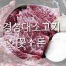 꽃소돈 네이버블로그