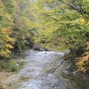 솔향 행정사 사무소 이미지