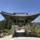 팔만대장경 | [오대산, 월정사] 봄이 오는 오대산의 사찰 월정사, 부처님 오신 날을 준비하는 모습, 오대산월정사...