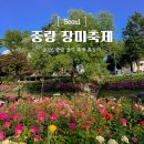 정오교통(주) | 서울 중랑 장미축제 일정 실시간 개화 상황 이번주 방문 꿀팁 및 초대가수