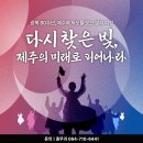 도민화합을 위한 문화음악회 | 광복 80주년, 제주와 독도를 잇는 빛의 여정