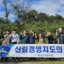 횡성군 산림조합 이미지