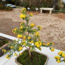 개금인제빌리지 이미지