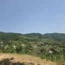 푸르른 5월의 신전(神殿)에서 누리는 망중한 이미지