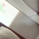 해미-비상-4 | June - July