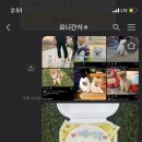 요니케이크 이미지
