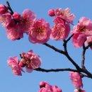 북구노인복지관 이미지