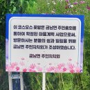 숲뜰근린공원 이미지