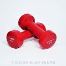 피트니스 웰시 분당정자점 네이버블로그