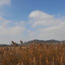 해송공원 이미지