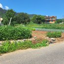 인천광역시 강화군 삼산면사무소 이미지