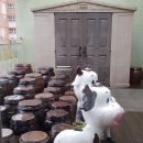 모아유치원 이미지