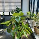 구영앞길 이미지