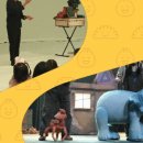 인형극페스티벌 이미지