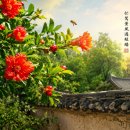 석류꽃(榴花)/張弘範(장홍범 元나라) 이미지