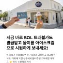 배스킨라빈스 할인 꿀팁! SOL트래블카드로 싱글레귤러 800원에 먹는 법 공개