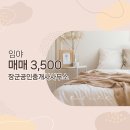 전의면사무소 네이버블로그