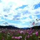 상미농장 이미지