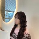 라누보헤어 이미지