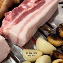 민경애견 이미지