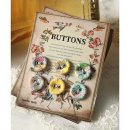 돼지블라썸 이미지