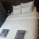 201 | 상주 스테이201 호텔 후기 – 출장자 만족도 100%!