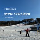 평창 알펜시아 스키장 리프트권 및 용평 알펜시아 렌탈샵 알프스 장비대여 후기