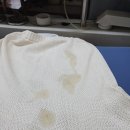 하얀명품세탁 네이버블로그