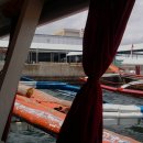 비너스나이트클럽 이미지