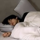 태형수지 이미지
