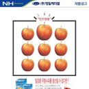 영일광고 이미지