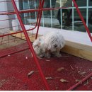 외동사거리 이미지