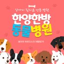 한양한방동물병원 | 강아지 허리디스크 &#34;동인천 한양한방동물병원&#34; - 예약방법 / 후기